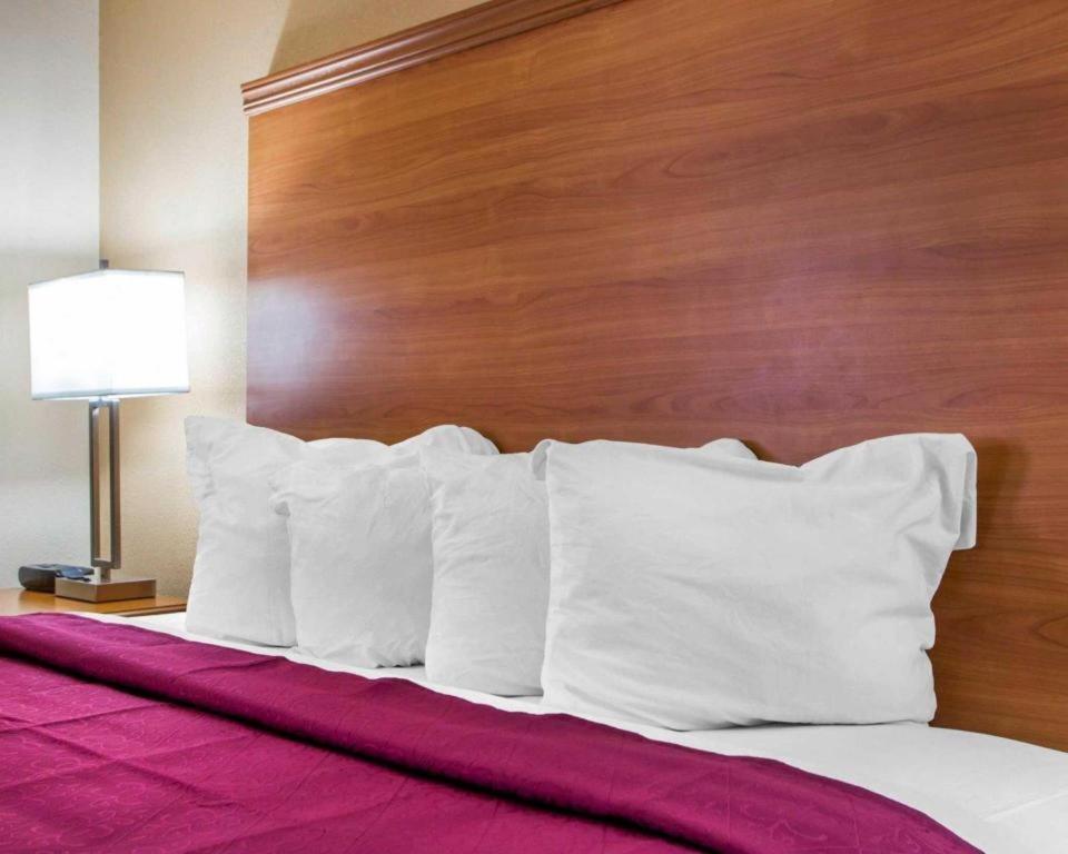 Quality Inn Ottawa Near Starved Rock State Park Kültér fotó